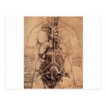 The Principle Organs and Vascular and Urino-Genita Post Card