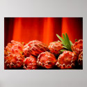 The Protea posters