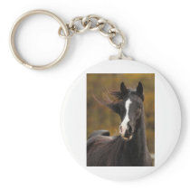 The proud Stallion Key Chains