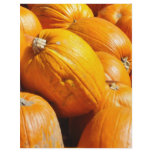 The Pumpkin Patch flyers