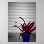 The Purple Plant posters