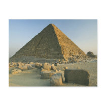 The Pyramids of Giza, which are alomost 5000 2 Post Card