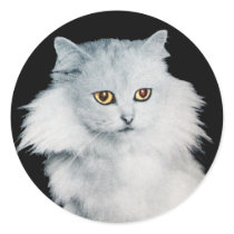 THE QUEEN OF WHITE CATS