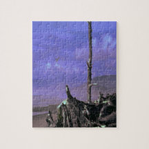 The Quiet Shore Puzzles