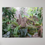 The Rainforest posters