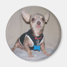 The Raspberry Opinion Fridge Magnet