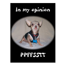 The Raspberry Opinion Post Cards