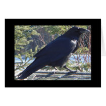 the Raven Greeting Cards