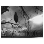 The Raven - Nevermore Sunbeams Tree B&W