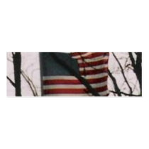 the real american award business card templates