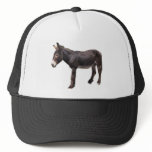 The Real Ass Hat