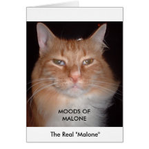 The Real Malone - MOODS OF MALONE Card