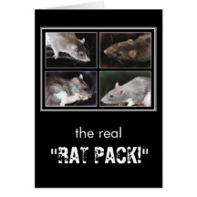 The real "RAT PACK!" - rat greeting card