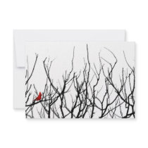 The Red Bird by Leslie Peppers Custom Announcements