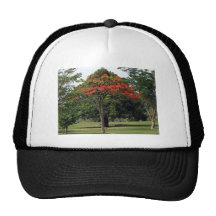 The red flowering tree in garden trucker hats