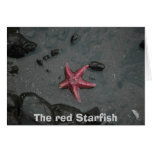 The red Starfish Card