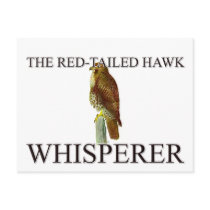 The Red-Tailed Hawk Whisperer