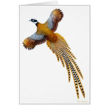 The Reeves Pheasant Card