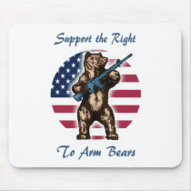 The Right to Arm Bears