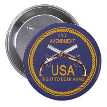 The Right To Bear Arms 3 Pin