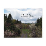 The Road To Spring Postcard