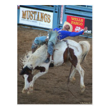The Rodeo Collection - Wild Ride Postcards