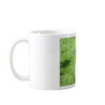 The Rook mugs