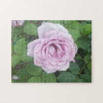 The Rose 2nd puzzles