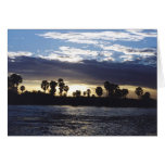 The Rufiji River at Sunset cards