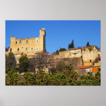 The ruins of the Pope's summer castle in Posters