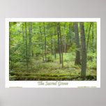 The Sacred Grove posters