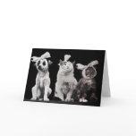 The Sad Trio, Blank Inside cards