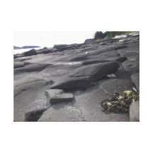 The Sandstone Beach Stretched Canvas Print
