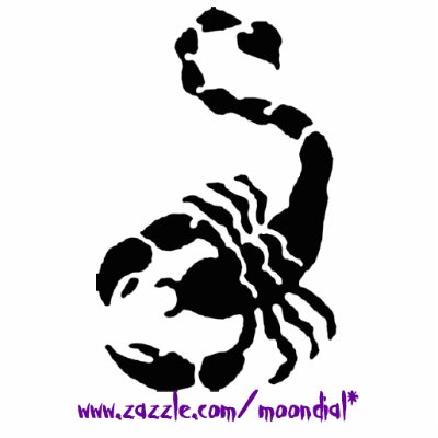 THE SCORPION, www.zazzle.com/moondial* Photo Cutouts by Moondial