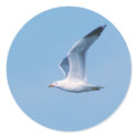 The Seagull Collection stickers