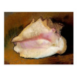 The Seashell, c. 1912 Postcards