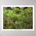 The Secret Garden posters