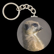 The Sentry Keyring keychains