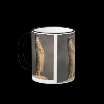 The Sentry Mug