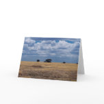 The Serengeti Plain cards