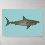 the shark print