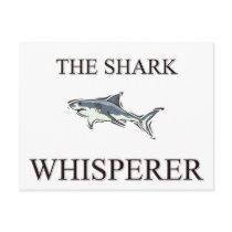 The Shark Whisperer
