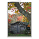 the shed card