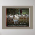 The Sheep of His PasturewScripture posters