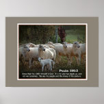 The Sheep of His PasturewScripture posters