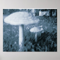 The shroom poster