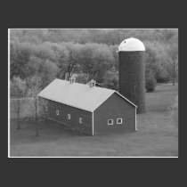 The Simple Life (b&w) Postcard postcards