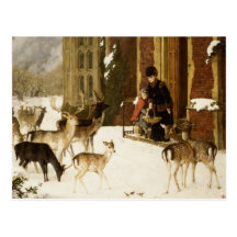 The Sisters of Charity Post Cards