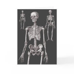 The Skeletons Are Out of the Closet! Greeting Card