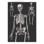 The Skeletons Are Out of the Closet! Greeting Card